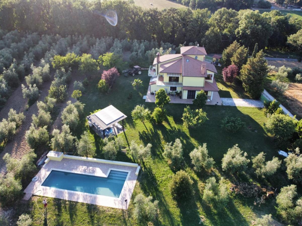 La Casa Nell'Oliveto Bed & Breakfast Acquasparta Exterior foto